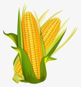 Maize Ear Corncob Popcorn - Cartoon Corn Png, Transparent Png, Transparent PNG