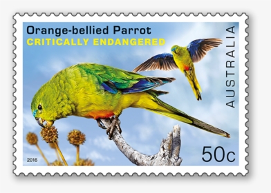 Australia Endangered Animals Stamps, HD Png Download, Transparent PNG