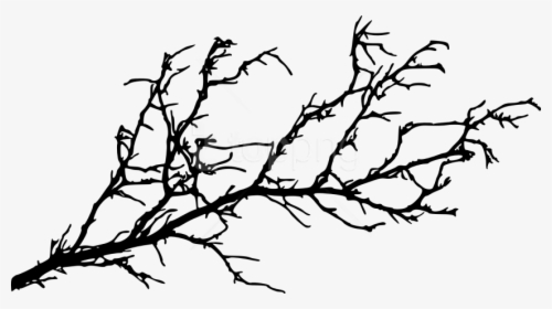 Tree Stem Png - Tree Branch Silhouette Png, Transparent Png, Transparent PNG