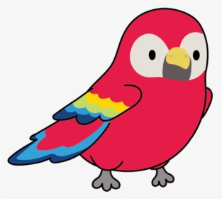 Sorry, Ikomo Coming Soon - Budgie, HD Png Download, Transparent PNG