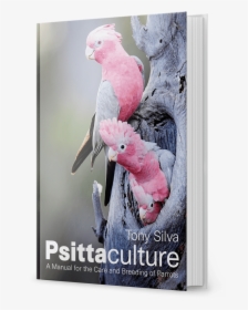 Psittaculture Tony Silva 2018, HD Png Download, Transparent PNG