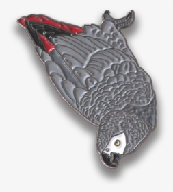Collector S Enamel Pin Badges - Bald Eagle, HD Png Download, Transparent PNG