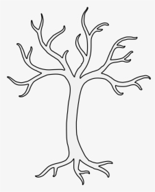 Outline Branch Clipart Black And White, HD Png Download, Transparent PNG