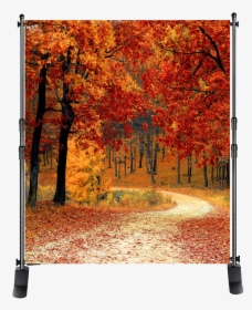 Photo Backgrounds From $100 - Heart Lake Brampton Fall, HD Png Download, Transparent PNG