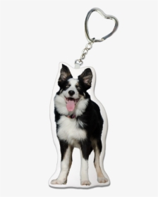 Collie Dog Keychain - Keychain, HD Png Download, Transparent PNG