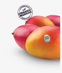 Nectarines, HD Png Download, Transparent PNG