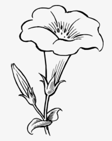 Lily Clipart Funeral Wreath - Flower Clipart Black And White, HD Png Download, Transparent PNG