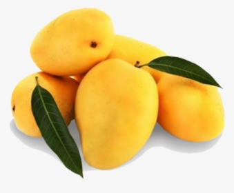Mango Alphonso - Pakistani Mangoes, HD Png Download, Transparent PNG