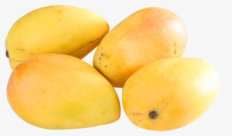 Mango Png Image - Ataulfo, Transparent Png, Transparent PNG