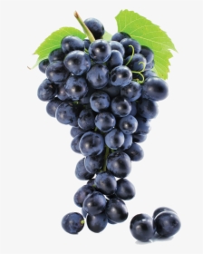 Black Grapes Png Free Background - Grape Png, Transparent Png, Transparent PNG