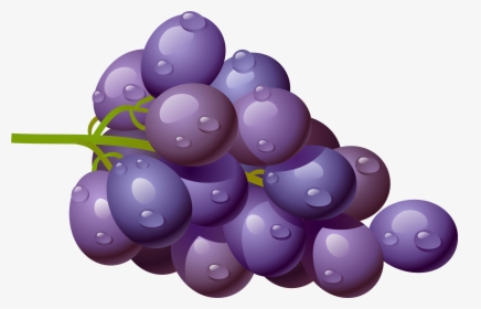 Grapes Grape Download Fruit Clip Art Free Clipart Of - Purple Grapes Clipart Png, Transparent Png, Transparent PNG