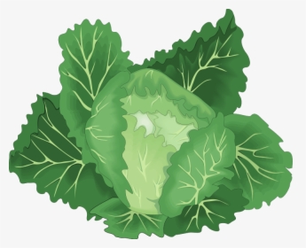 Vegetables Free Vector - Green Vegetable Vector Png, Transparent Png, Transparent PNG