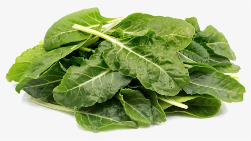 Transparent Collard Greens Png - Green Leafy Vegetables Png, Png Download, Transparent PNG
