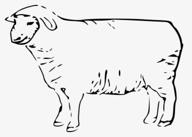 Art,monochrome Photography,carnivoran - Clip Art Sheep Black And White, HD Png Download, Transparent PNG