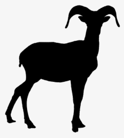 Skull Clipart Bighorn Sheep For Free Download And Use - Bighorn Sheep Black And White, HD Png Download, Transparent PNG