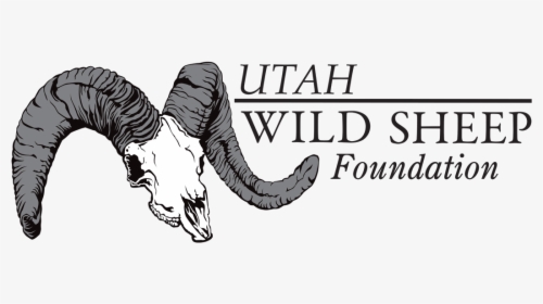 Wild Sheep Foundation, HD Png Download, Transparent PNG