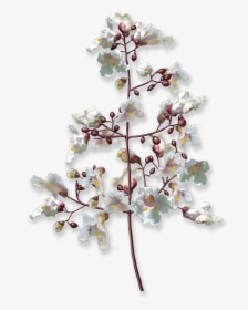 Flower Tree Png Images, Transparent Png, Transparent PNG