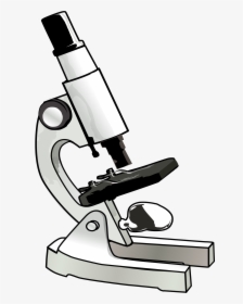 Free Microscope Cliparts, Download Free Clip Art, Free - Microscope Clipart, HD Png Download, Transparent PNG