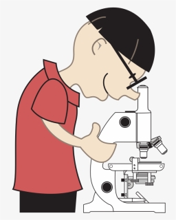 Art,communication,arm - Microscope Clipart With Scientists, HD Png Download, Transparent PNG