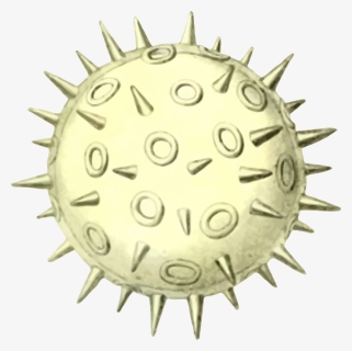 Circle,organism,pollen - Spore Clipart, HD Png Download, Transparent PNG
