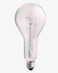 Light Bulbs Nobacks, HD Png Download, Transparent PNG