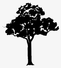 Tree - Tree Vector Black Png, Transparent Png, Transparent PNG