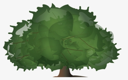 Tree, Wood, Paper, Leaves, Plant, Bush, Foliage - Illustration, HD Png Download, Transparent PNG