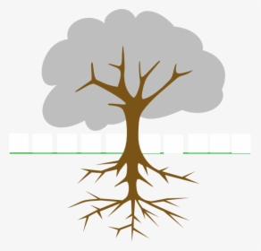 At Clker Com Vector - Clip Art Trees With Roots, HD Png Download, Transparent PNG