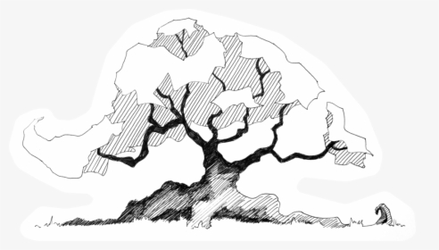 Trees In Plan Png , Png Download - Line Art, Transparent Png, Transparent PNG