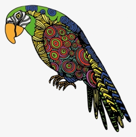 Bird Of Prey,macaw,parrot - Colors Of Parrot Drawing, HD Png Download, Transparent PNG