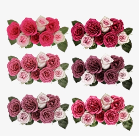 Roses, Flowers, Rose Flower, Pink, Garden, Summer - Rose, HD Png Download, Transparent PNG