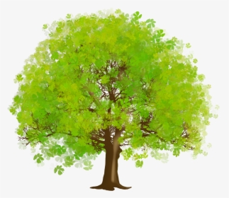 Tree Png Free Download - Tree Clipart, Transparent Png, Transparent PNG