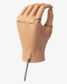 Mannequin, HD Png Download, Transparent PNG