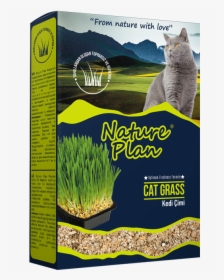 Nature Plan Cat Grass, HD Png Download, Transparent PNG