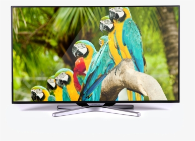 Experience The New Led - High Resolution Led Tv, HD Png Download, Transparent PNG