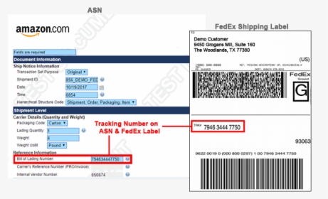 Sample Fedex Edi Integration Advance Shipment Notice - Amazon Video, HD Png Download, Transparent PNG
