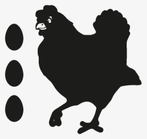 Rooster Brahma Chicken Hen Drawing - Disegno Gallina Immagini, HD Png Download, Transparent PNG