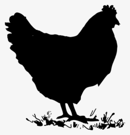 Hen, Chicken, Eggs, Juggling, Duckling, Spring - Chicken Black And White Clipart, HD Png Download, Transparent PNG