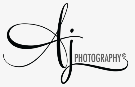 Photography Logo Hd Png Images Transparent Photography Logo Hd Image Download Pngitem