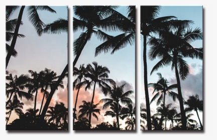 Seegart 3 Panels Beach Seascape Coconut Tree Wall Painting, HD Png Download, Transparent PNG