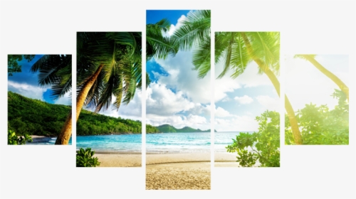 Coconut Tree Beach Canvas Wall Art   Class - Beach Wallpaper Widescreen, HD Png Download, Transparent PNG