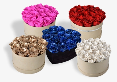 Floribunda, HD Png Download, Transparent PNG