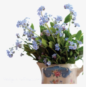 Forget Me Not Png Pic - Forget Me Not .png, Transparent Png, Transparent PNG