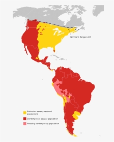 Cougar Range Map 2010 - Latin America, HD Png Download, Transparent PNG