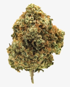 Davinci Og Marijuana Strain - Cannabis Bud Png Transparent, Png Download, Transparent PNG