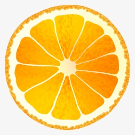 Orange Slice Png - High Resolution Orange Slice, Transparent Png, Transparent PNG