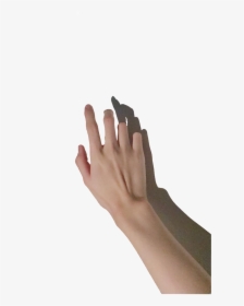 Hand Reference, HD Png Download, Transparent PNG