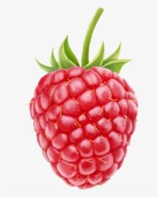 Berry - Transparent Background Raspberry Png, Png Download, Transparent PNG