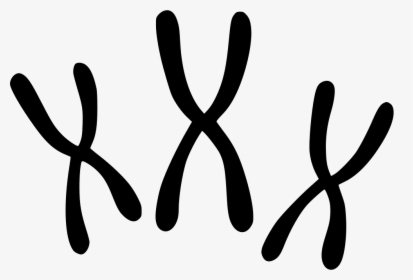 Chromosomes - Chromosome Black And White, HD Png Download, Transparent PNG