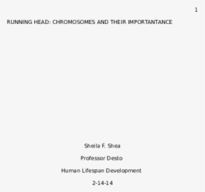 Document, HD Png Download, Transparent PNG